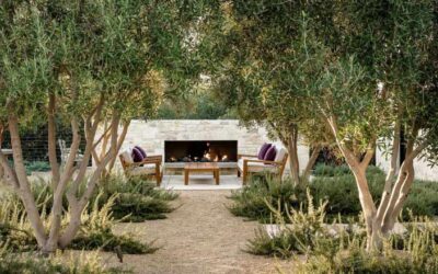 Xerojardinería: un jardín bonito que apenas necesita agua