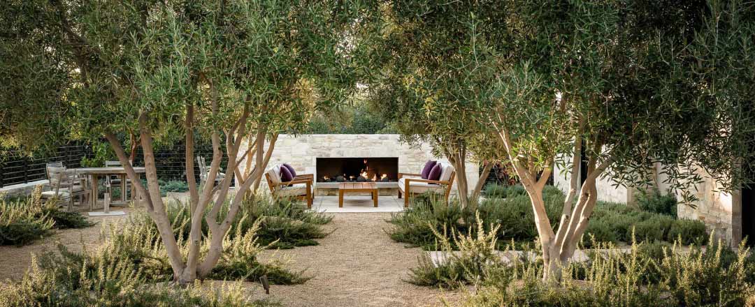 Xerojardinería: un jardín bonito que apenas necesita agua